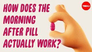 How does the morning-after pill prevent pregnancy? - Alison Edelman
